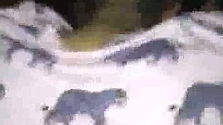 Amazing Body Real Amateur Wife Lunch Breaks Fuck ww