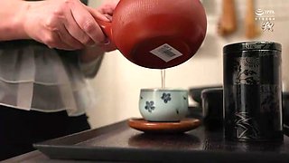 x2x740202ED73517BE355