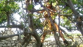 In the Realm of the Amazons - Full Movie