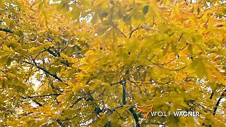 Outdoor porn with funny Sophie Logan from Wolf Wagner Love