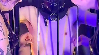 Teasing Our Caged Slave