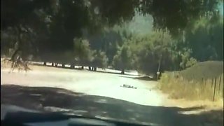 Selen - Selvaggia (1)