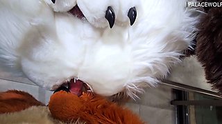 Amateur hooker pounded hardcore in her slit in the sex bus