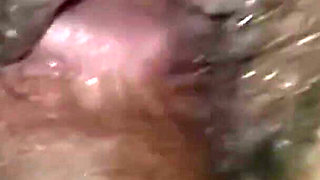 Pilot Video