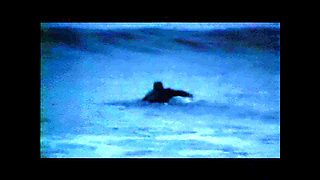 A Young and Exotic Beauty Gets Fucked Hard by a Big Cock on a Summer Evening at the Beach