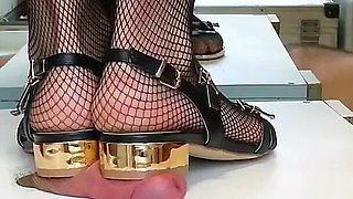 Trampling Cock