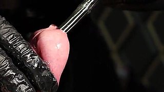 Test of Balls Resistance: CBT, Urethra, and Handjob - Mistress Julia