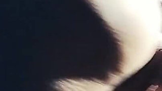 Babysitter Creampie After Night Out