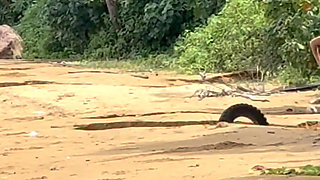 Homemade Accidental Sex - Handjob and Cumshot on Public Beach