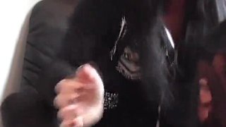 Cruel Sock Smelling Terror