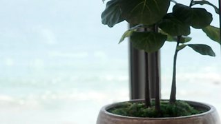 Small titted brunette amateur anal nailed at home