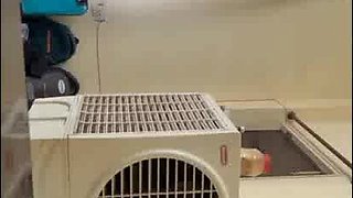 Bhabhi Funbags Blowing and Humping In kitchen