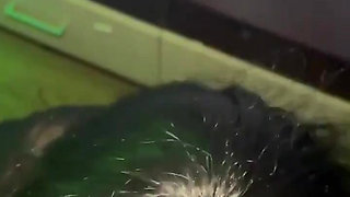 Hot Encounter with a Young Boy Hot Blowjob and Orgasm and Squirt