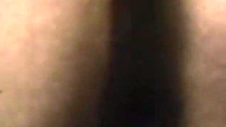 The Gozona Pig Gets Milk