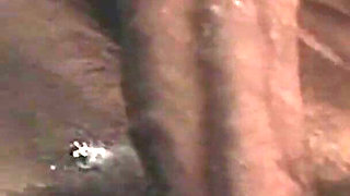 Vintage Anal Intimacy Between Rocco and This Hot Brunette