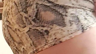 No Panties Under the Dress
