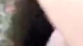 Bustys Cam Webcam Big Boobs Free Big Boobs Cam Porn Video