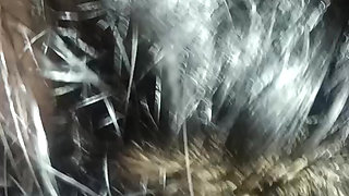 Mallu Blow job and Ass fucking