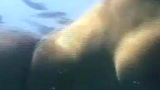Young Busty Girl Enjoys Two Huge Cocks That Cum on Her Pussy and in Her Mouth