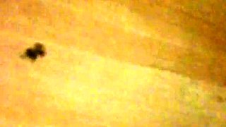 Korean Amateur Sucks Cock in Bathroom Gloryhole