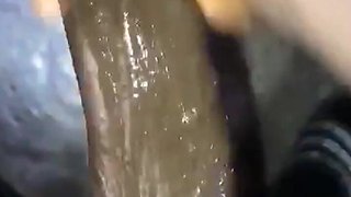 Stroking My African BBC