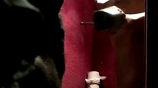 Stripper private dance in peepshow