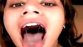 Swallow Compilation