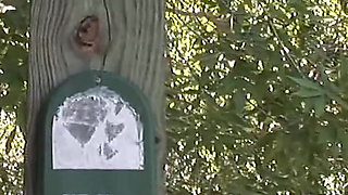 Petite Tatted Freak Gets Naked at a Public Park