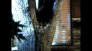 Melody Love: Sensual, Perfect Young Pussy, Hard Fucked