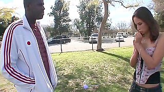 Pretty Secretary Gets Assfucked By Extremely Thick Black Cock