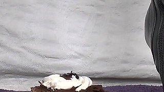 Smoking Mistress and Cake From Boot Soles POV Clip, Lady Victoria Valente