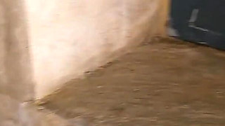 Big Squirt in an Abandoned House