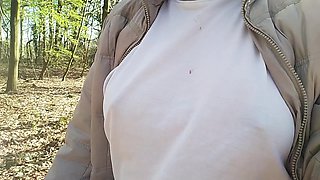 A Little Walk Through the Forest, Enjoying the Spring Weather