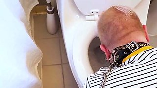 Mistress Petra Hunter - Human Toilet Brush