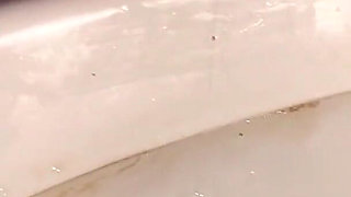 Licking Toilet Till Orgasm