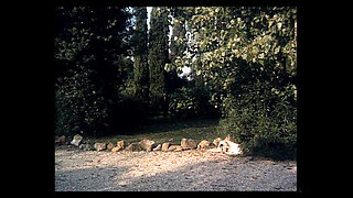 The Depravations of Eva Orlowsky