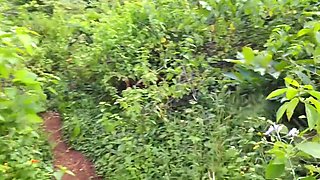 I Took My Friends Stepsister To The Jungle And Fucked Her Well