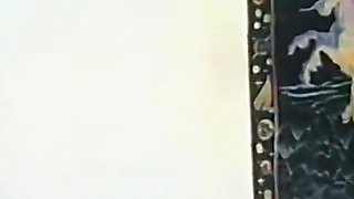 Trashy Blonde Gets Her Trimmed Pussy Pounded