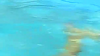 Wet and Wild Adventures