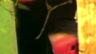Trailer359