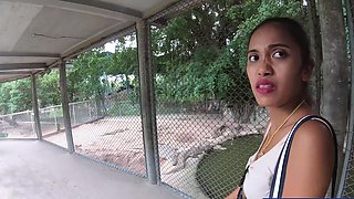Crocodiles munching and Thai GF cumming