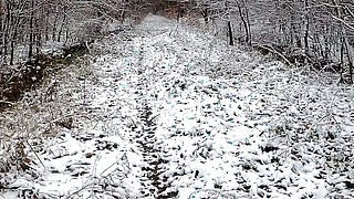 Jacket off in the winter forest and tits red