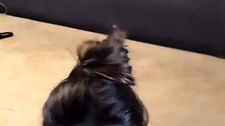 Bustys Cam Webcam Big Boobs Free Big Boobs Cam Porn Video