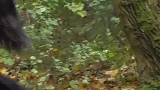 German Proll Doms Kick Old Slave Outdoor