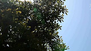 Japanese Teen Getting Hardcore