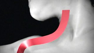Two sexy hotties Sarah Jessie and Sativa Rose get filled by the boss' big cock