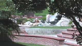 Roxie Had Fun Outdoors