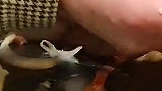 CBT. Extreme Dick and Urethral Torment in the Kitchen! Cooking Cock 2. Episode 3/3. Full.