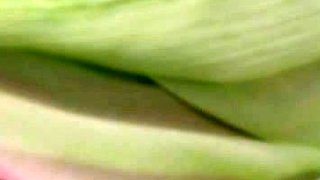 Brunette hardcore blowjob