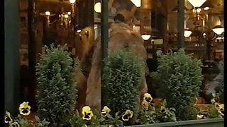 Unleashed Passion (1991)